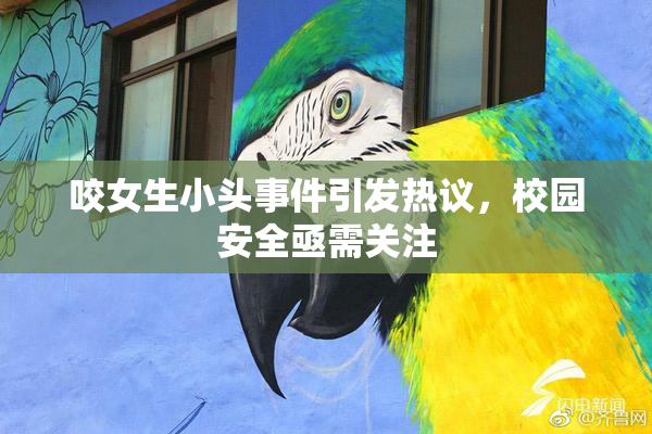 咬女生小头事件引发热议，校园安全亟需关注