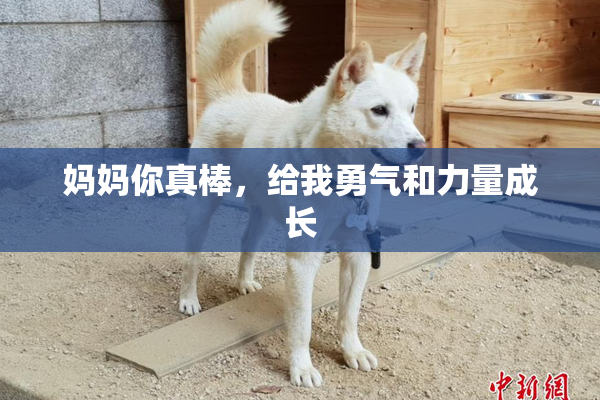 妈妈你真棒，给我勇气和力量成长
