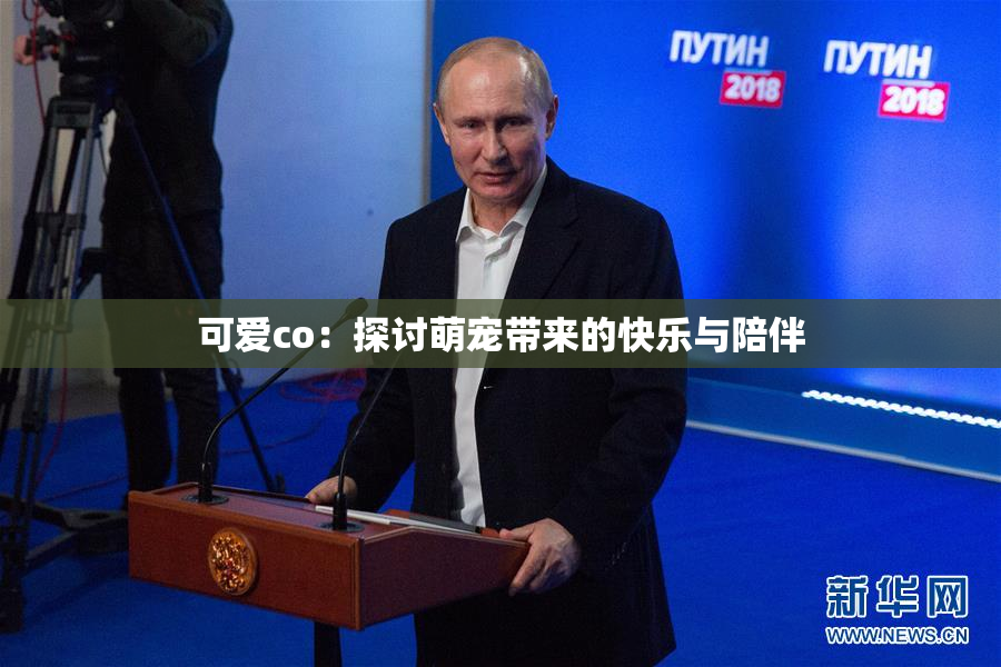 可爱co：探讨萌宠带来的快乐与陪伴