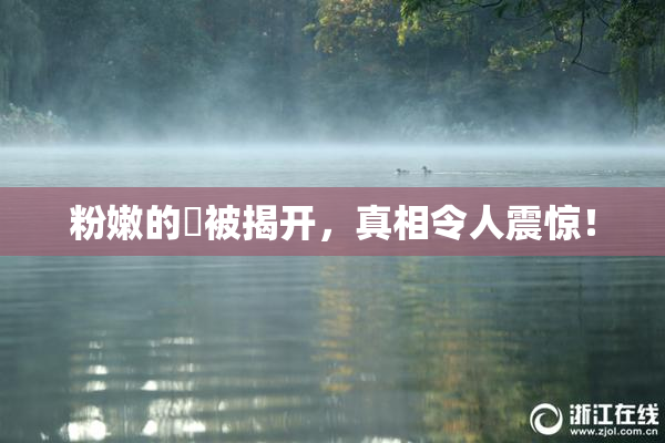 粉嫩的泬被揭开，真相令人震惊！