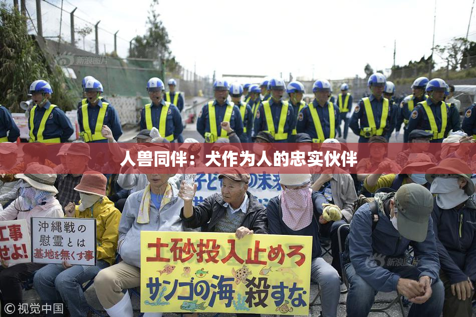 人兽同伴：犬作为人的忠实伙伴