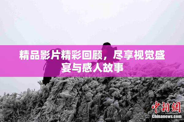精品影片精彩回顾，尽享视觉盛宴与感人故事