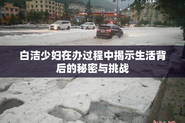 白洁少妇在办过程中揭示生活背后的秘密与挑战