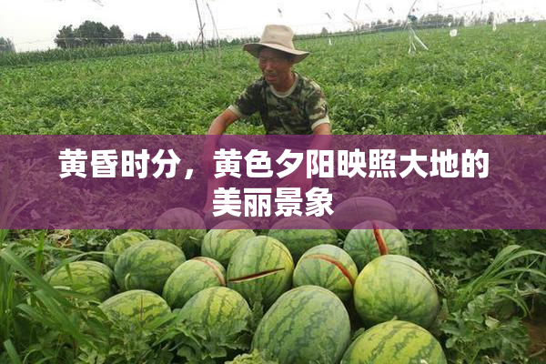 黄昏时分，黄色夕阳映照大地的美丽景象
