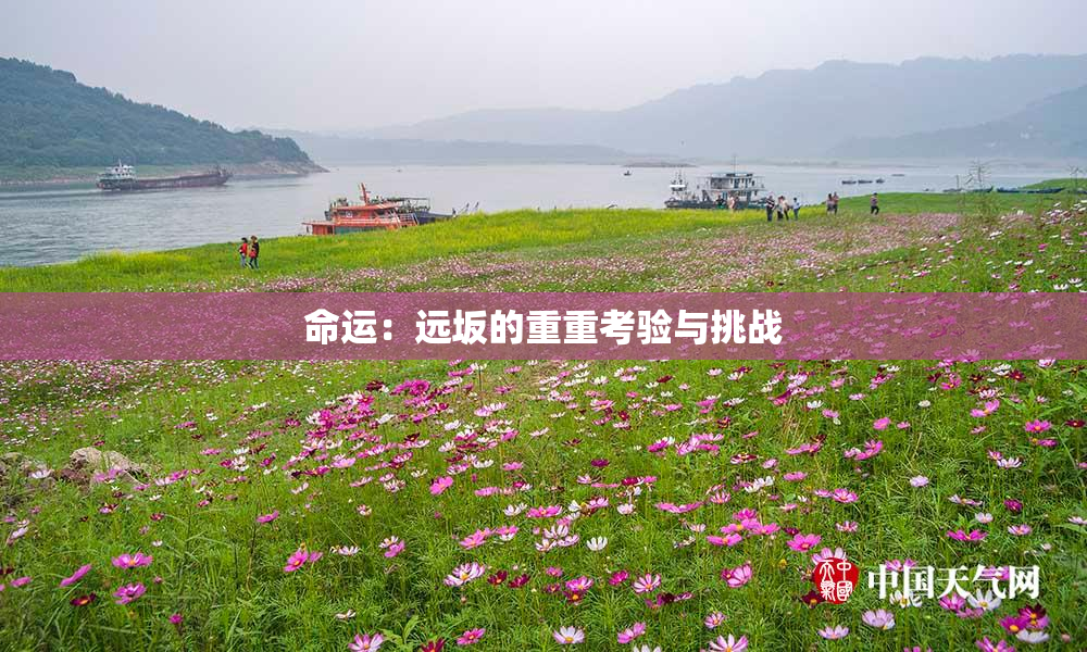 命运：远坂的重重考验与挑战
