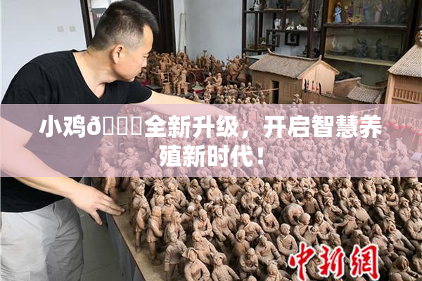 小鸡🐔全新升级，开启智慧养殖新时代！