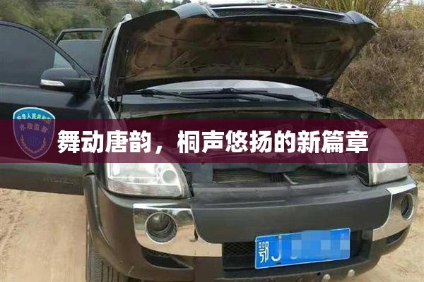舞动唐韵，桐声悠扬的新篇章