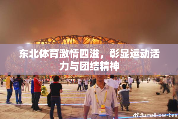 东北体育激情四溢，彰显运动活力与团结精神
