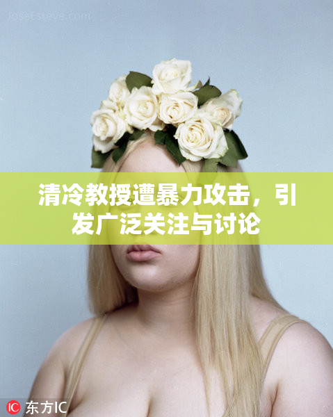 清冷教授遭暴力攻击，引发广泛关注与讨论