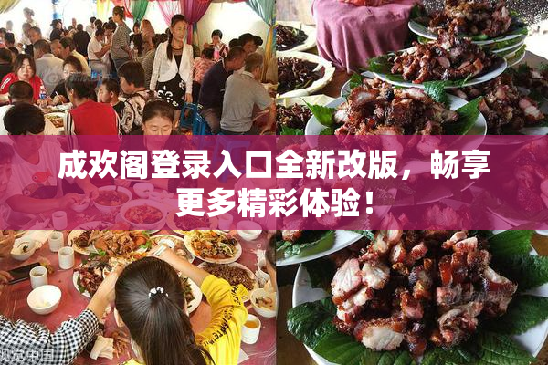 成欢阁登录入口全新改版，畅享更多精彩体验！