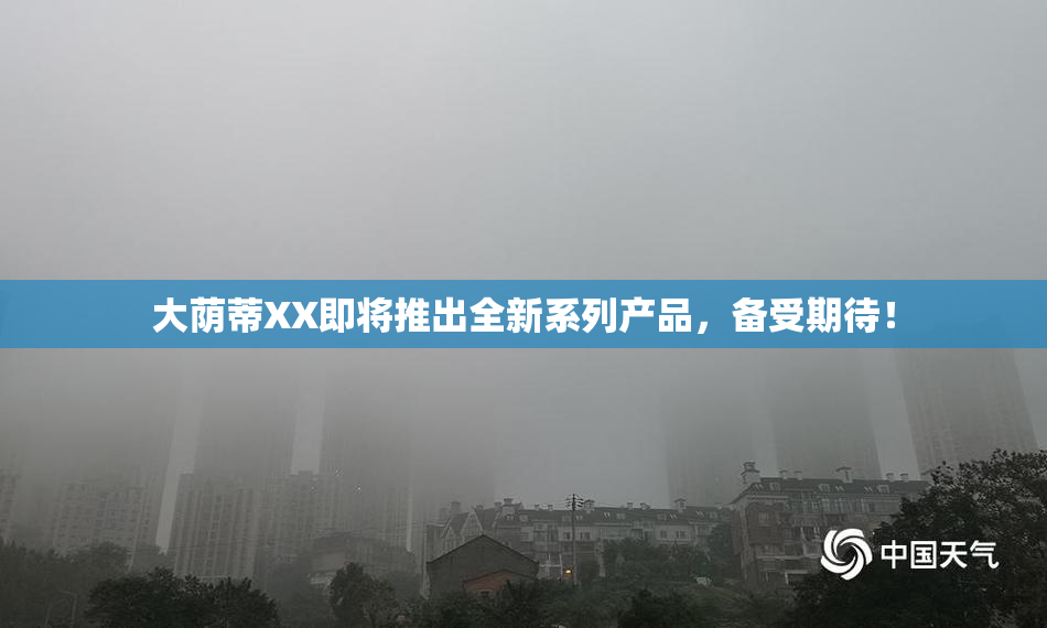 大荫蒂XX即将推出全新系列产品，备受期待！