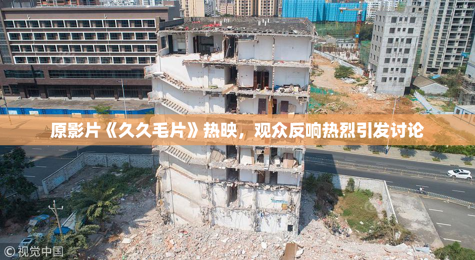 原影片《久久毛片》热映，观众反响热烈引发讨论