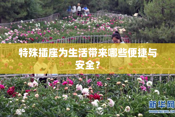 特殊插座为生活带来哪些便捷与安全？