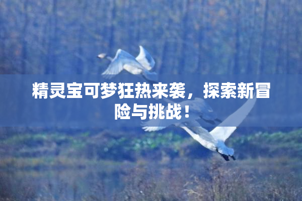 精灵宝可梦狂热来袭，探索新冒险与挑战！