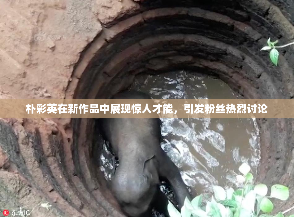 朴彩英在新作品中展现惊人才能，引发粉丝热烈讨论