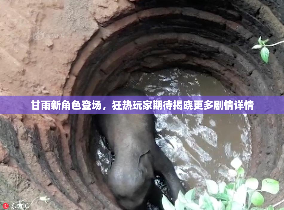甘雨新角色登场，狂热玩家期待揭晓更多剧情详情
