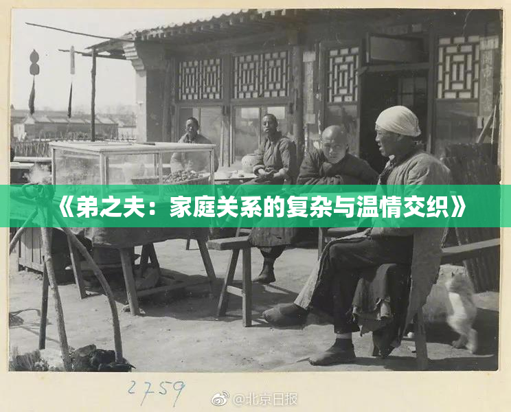 《弟之夫：家庭关系的复杂与温情交织》
