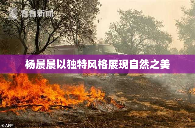 杨晨晨以独特风格展现自然之美