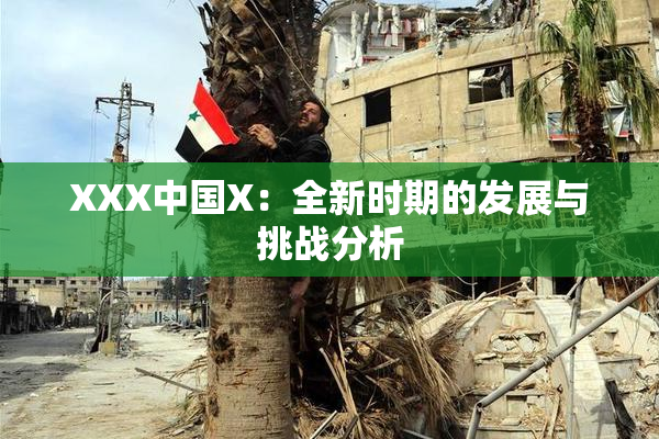 XXX中国X：全新时期的发展与挑战分析
