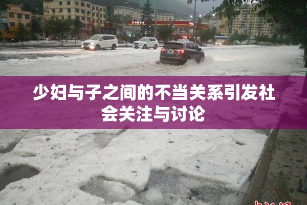 少妇与子之间的不当关系引发社会关注与讨论