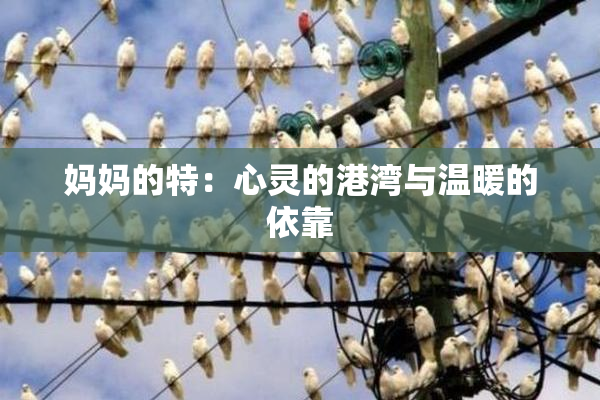 妈妈的特：心灵的港湾与温暖的依靠