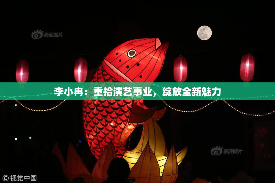 李小冉：重拾演艺事业，绽放全新魅力