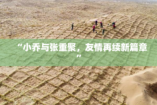 “小乔与张重聚，友情再续新篇章”