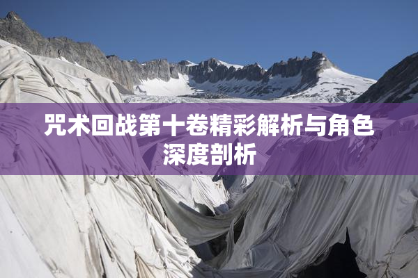 咒术回战第十卷精彩解析与角色深度剖析