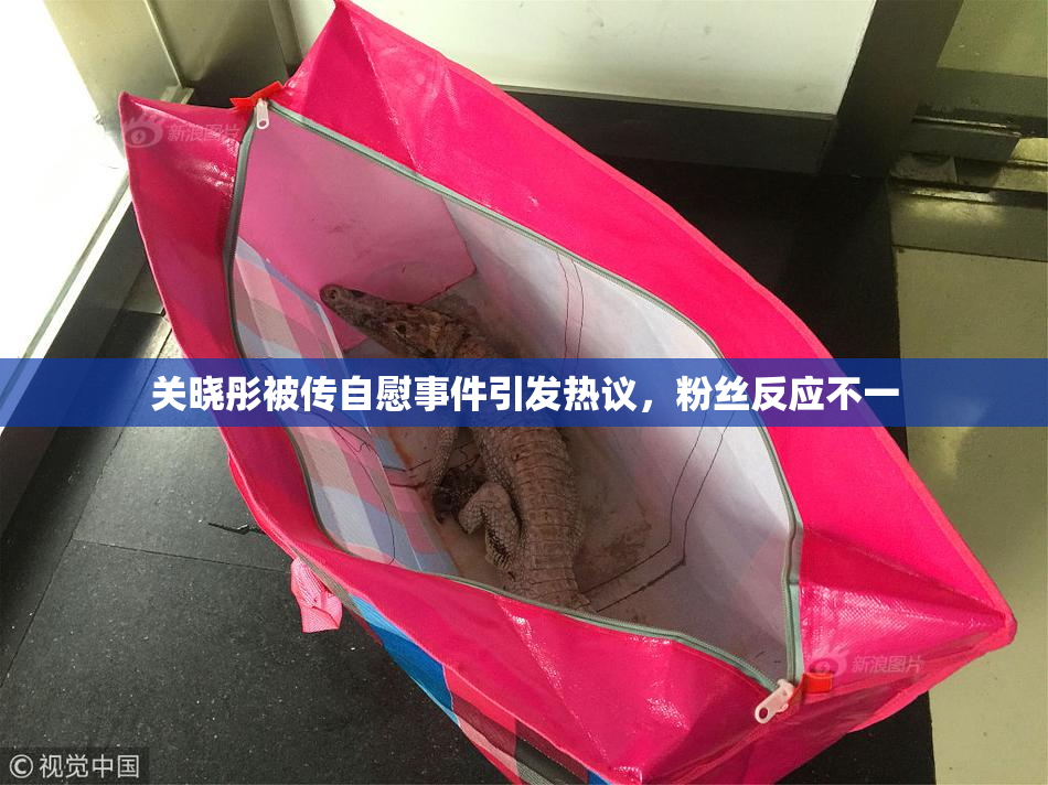 关晓彤被传自慰事件引发热议，粉丝反应不一