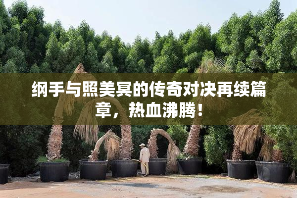 纲手与照美冥的传奇对决再续篇章，热血沸腾！