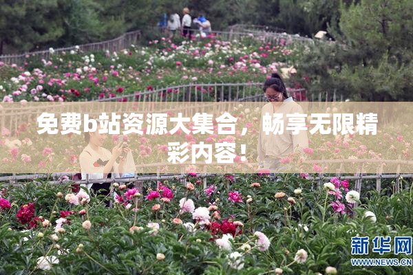 免费b站资源大集合，畅享无限精彩内容！