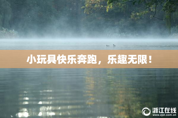 小玩具快乐奔跑，乐趣无限！