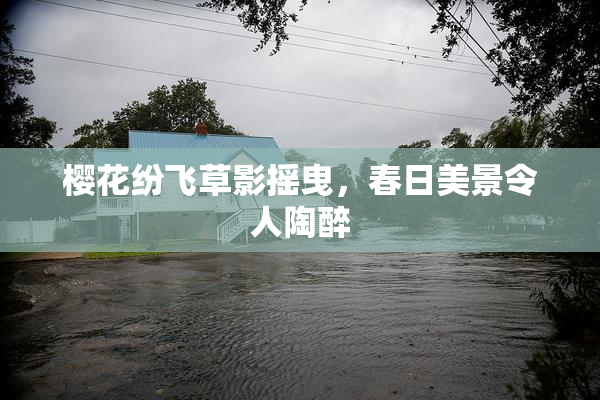 樱花纷飞草影摇曳，春日美景令人陶醉