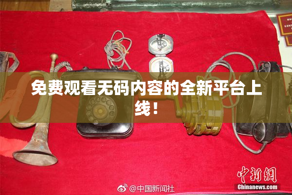 免费观看无码内容的全新平台上线！