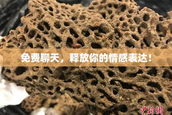 免费聊天，释放你的情感表达！