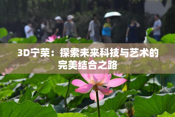 3D宁荣：探索未来科技与艺术的完美结合之路