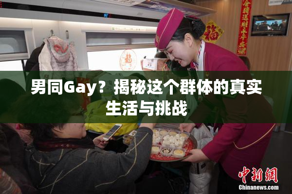 男同Gay？揭秘这个群体的真实生活与挑战