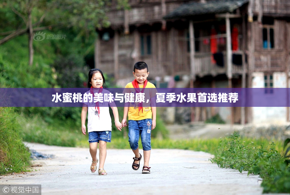 水蜜桃的美味与健康，夏季水果首选推荐