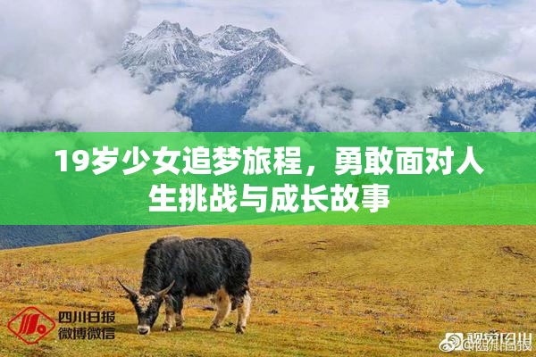 19岁少女追梦旅程，勇敢面对人生挑战与成长故事