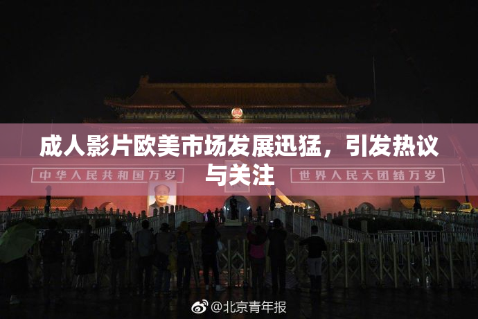 成人影片欧美市场发展迅猛，引发热议与关注