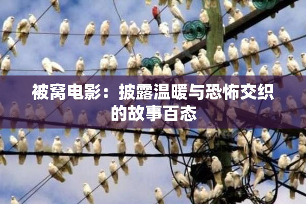 被窝电影：披露温暖与恐怖交织的故事百态