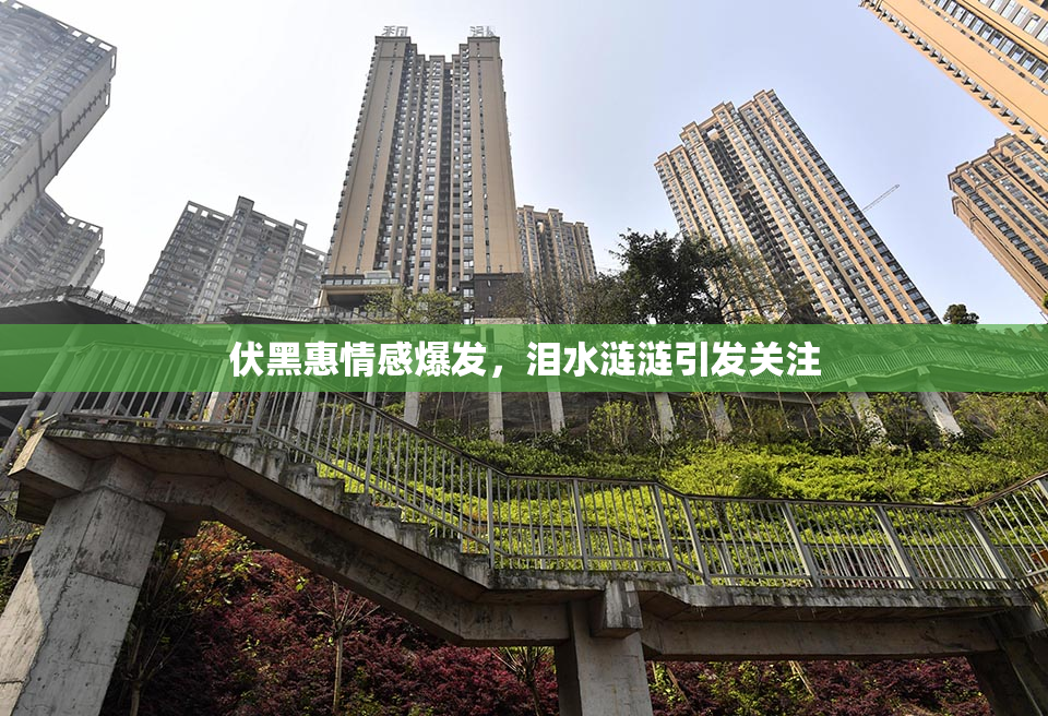 伏黑惠情感爆发，泪水涟涟引发关注