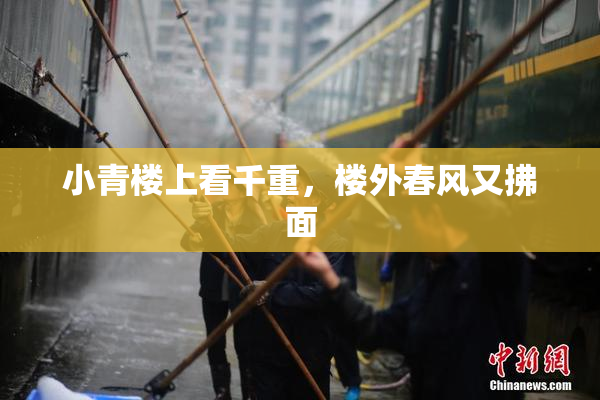 小青楼上看千重，楼外春风又拂面
