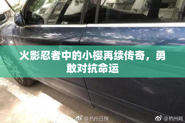 火影忍者中的小樱再续传奇，勇敢对抗命运