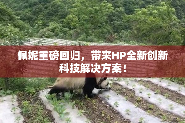 佩妮重磅回归，带来HP全新创新科技解决方案！