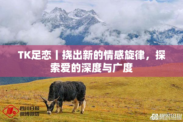 TK足恋丨挠出新的情感旋律，探索爱的深度与广度