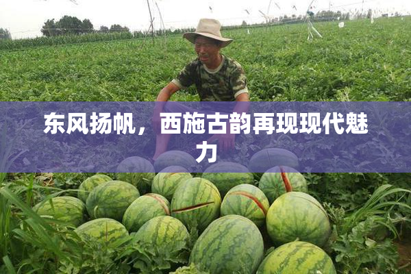 东风扬帆，西施古韵再现现代魅力