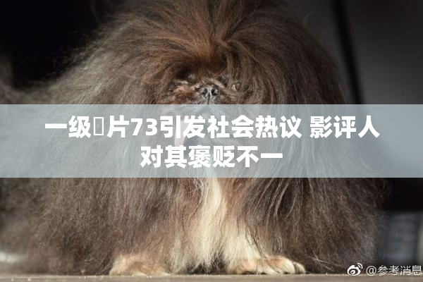 一级婬片73引发社会热议 影评人对其褒贬不一