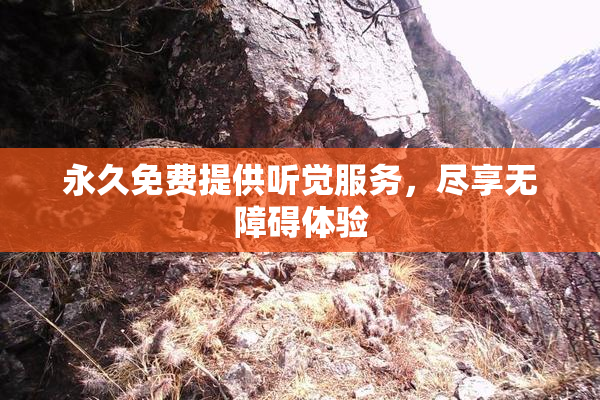 永久免费提供听觉服务，尽享无障碍体验