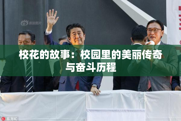 校花的故事：校园里的美丽传奇与奋斗历程